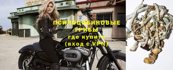 амф Володарск