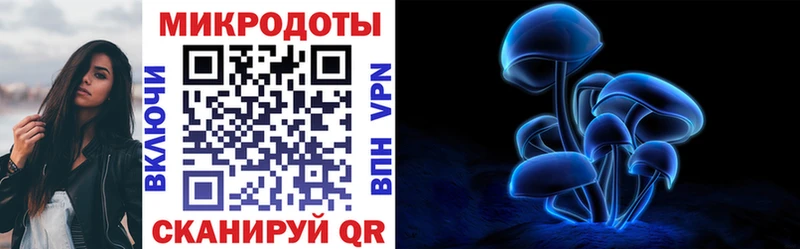 Галлюциногенные грибы Psilocybe  Тула 